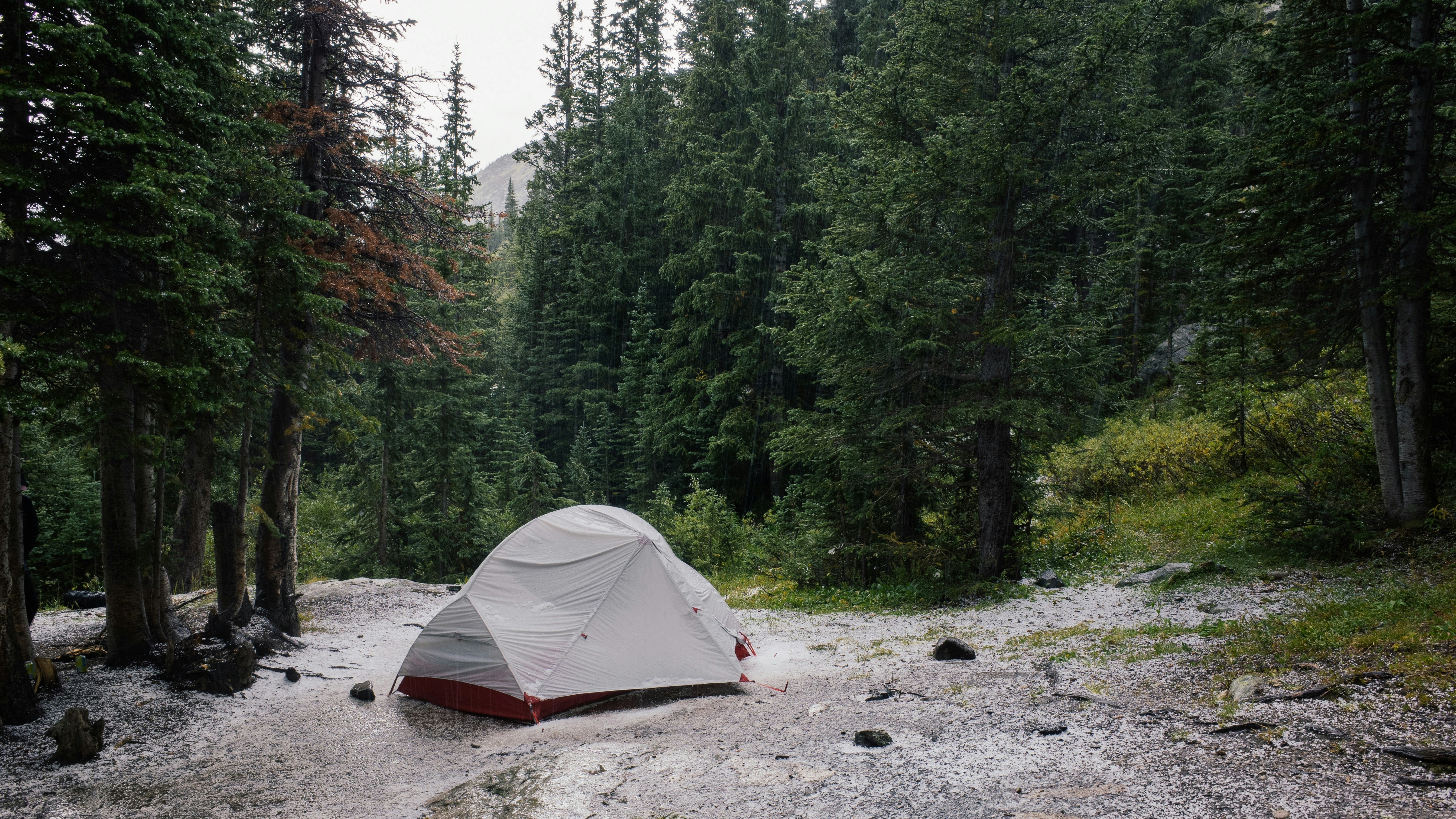 gray tent beside lake surrounded by trees